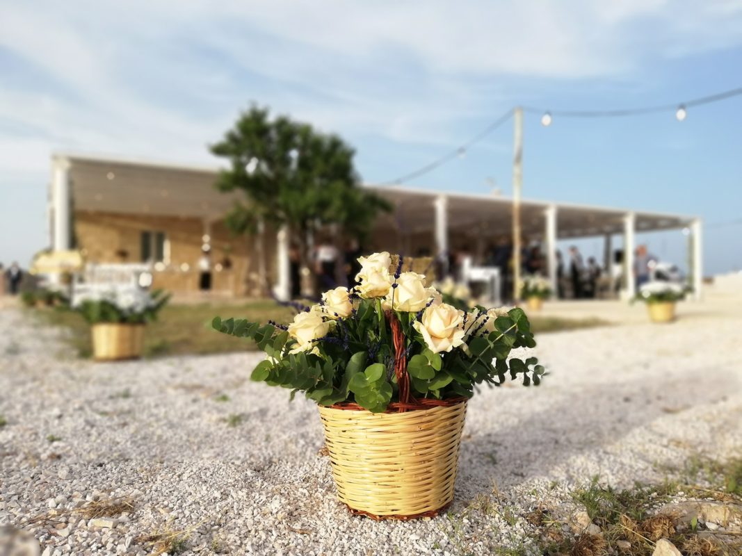 Il significato dei fiori: un significato per ogni fiore