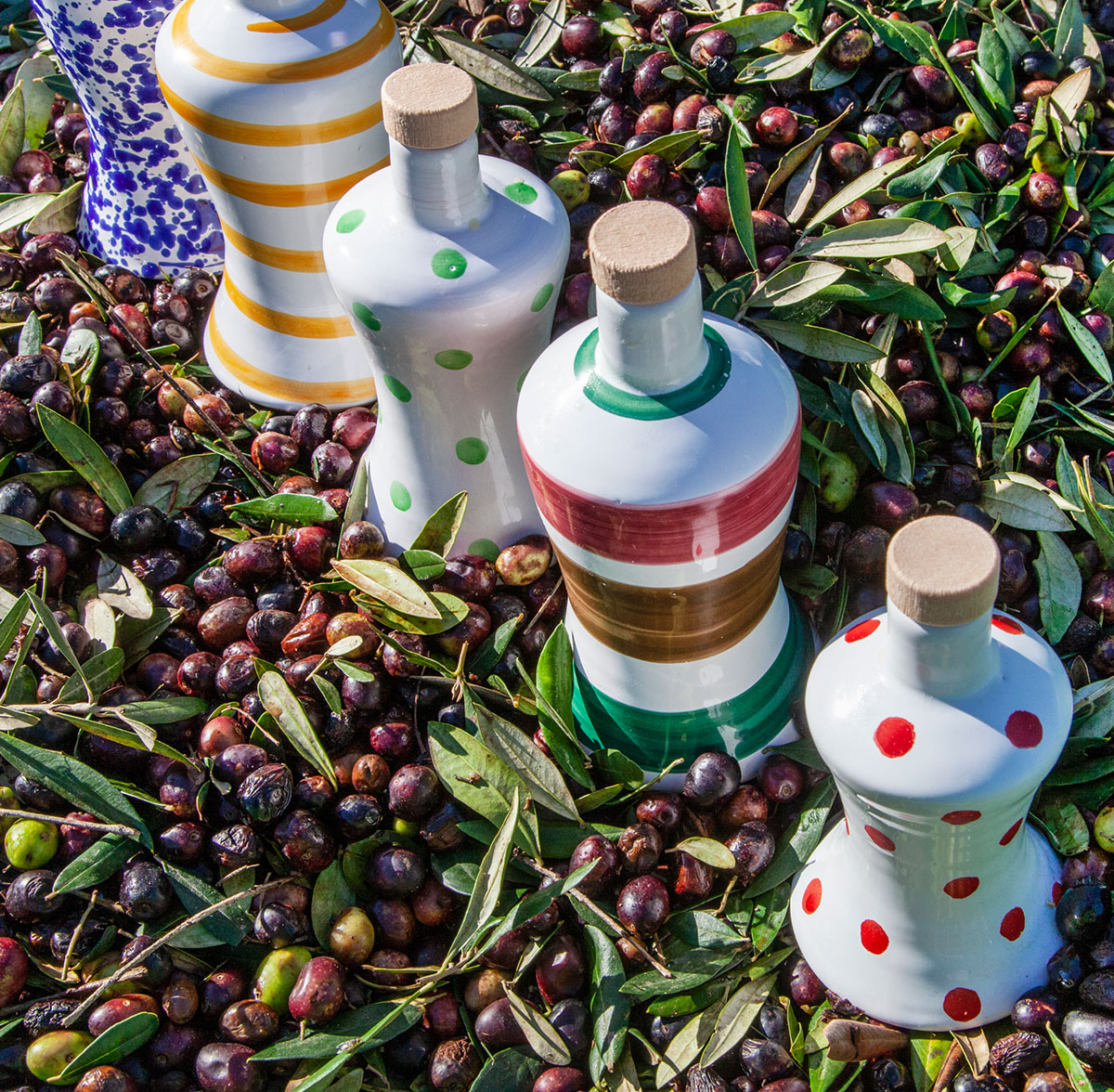 Alla scoperta di Gravina in Puglia e…Frantoio Losacco