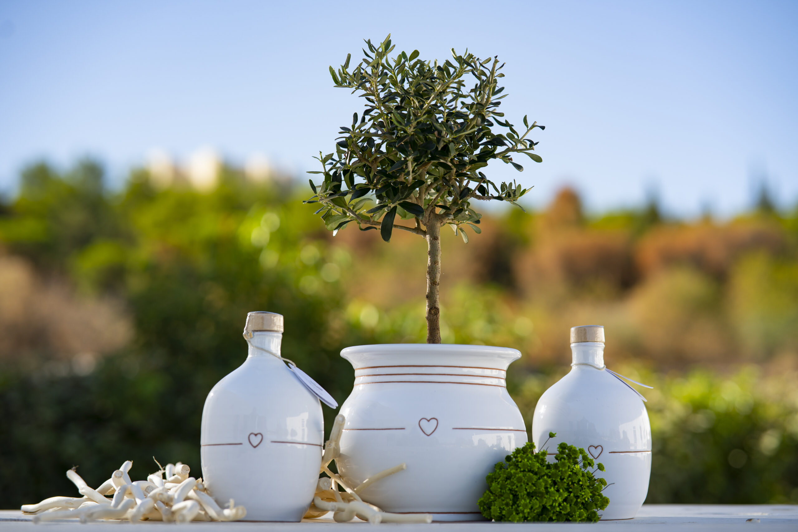 Bomboniere gastronomiche? L’eccellenza dell’Olio Pugliese