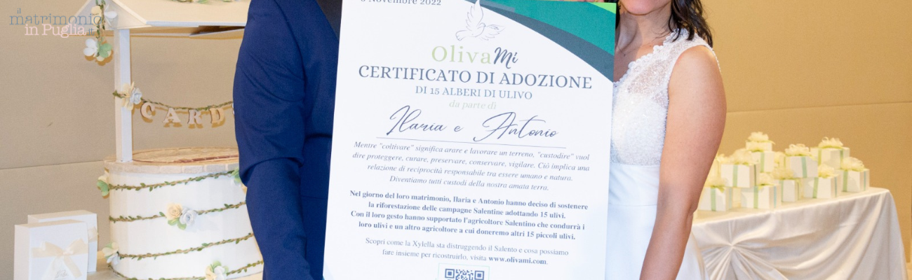 OlivaMi: adozione di ulivi e bomboniere solidali per la rinascita del Salento